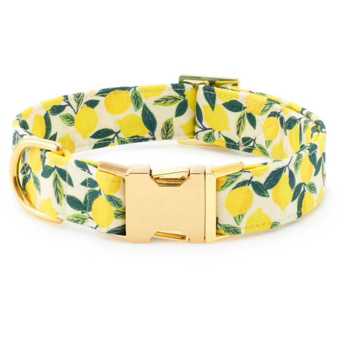 TFD LEMON ZEST COLLAR SMALL