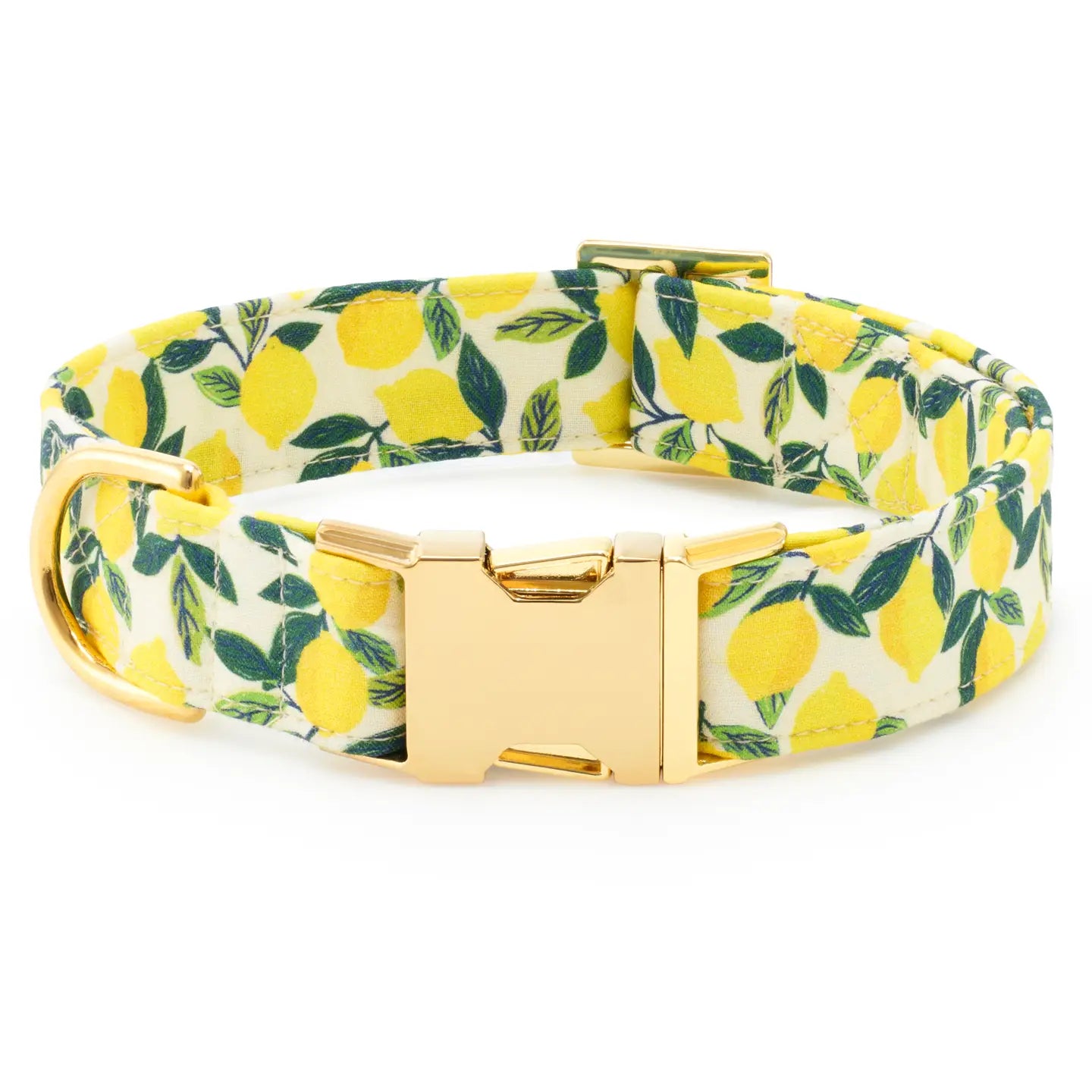 TFD LEMON ZEST COLLAR SMALL