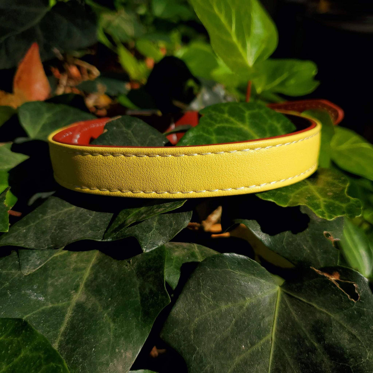 Petponia Luxe Vegan Leather Collar Yellow Medium