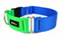 Dubdog Collar Neon Green/Royal Large