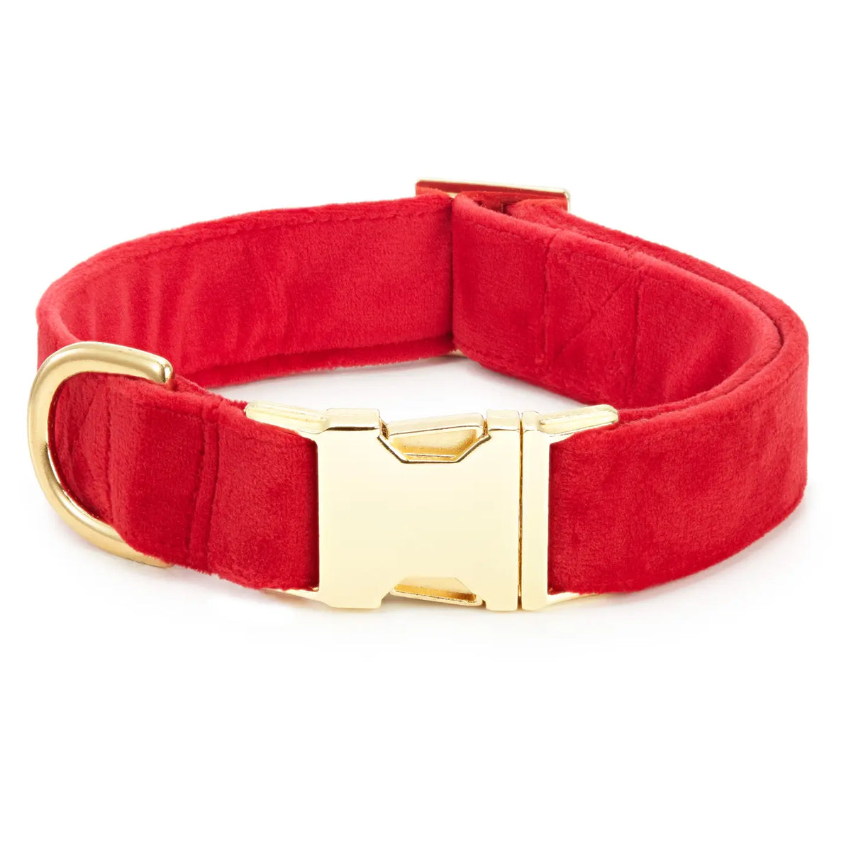 The Foggy Dog Cranberry Velvet Collar Medium