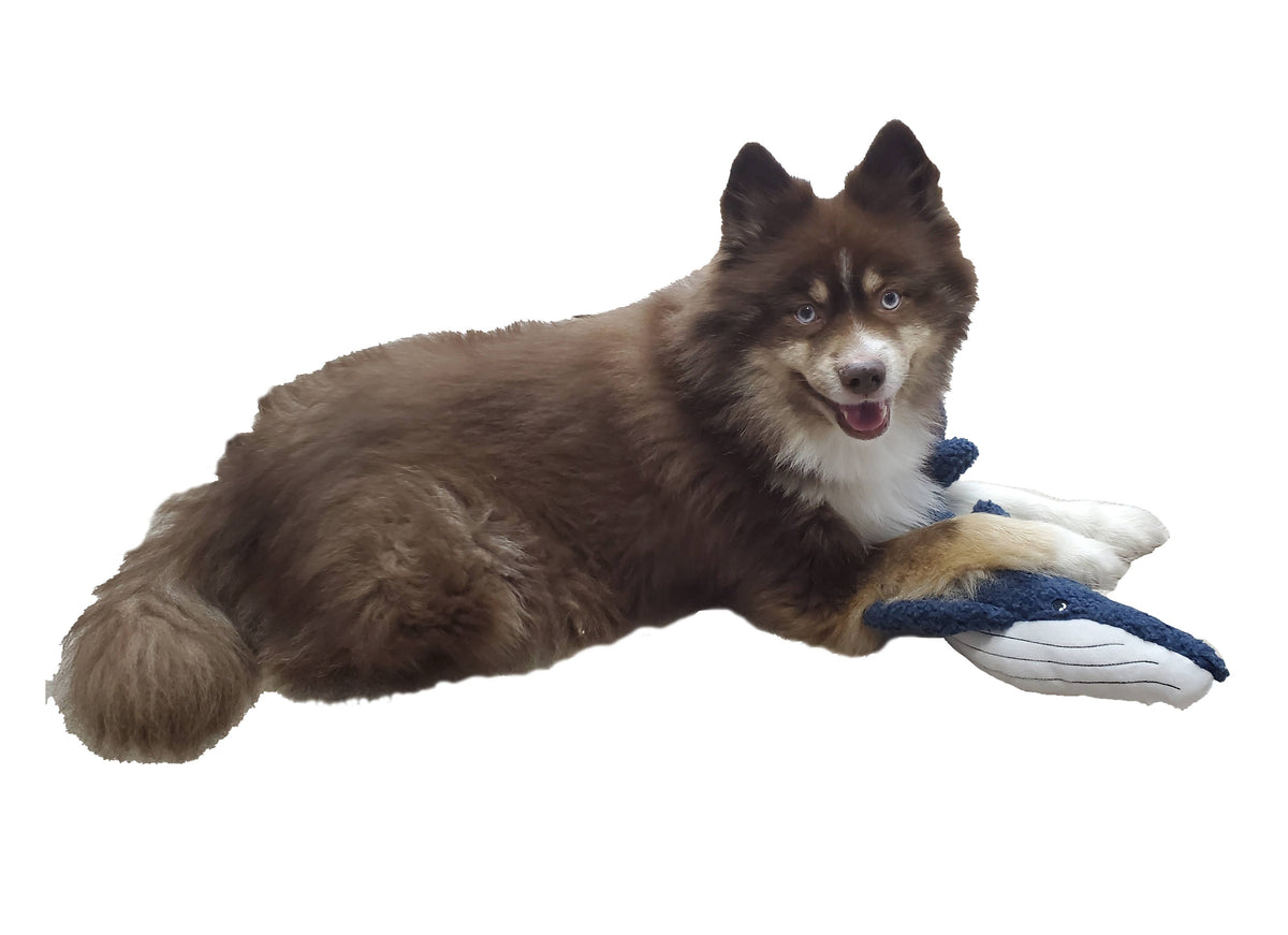Barkers Wildlife Fleece Blue Whale