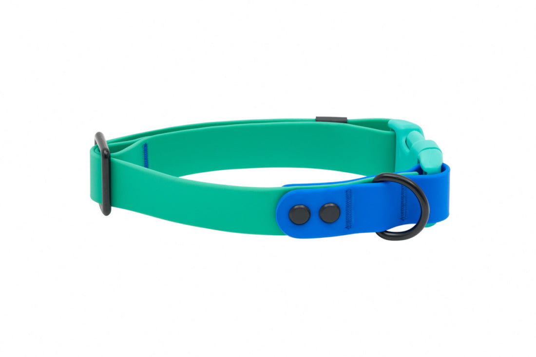 RC PETS WATERPROOF COLLAR SM PARAKEET SAPPHIRE