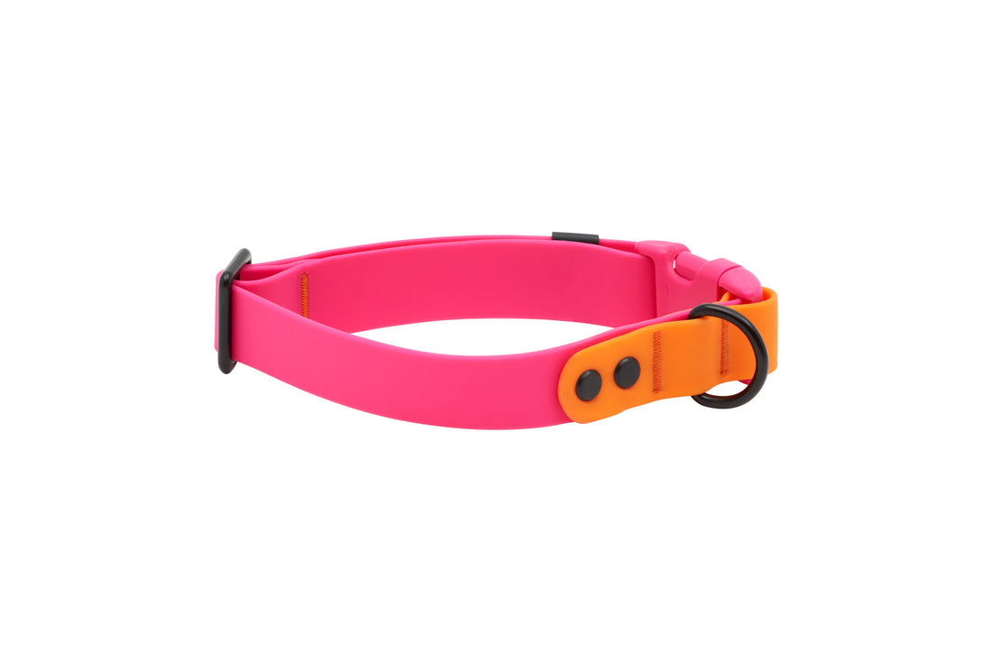 RC PETS WATERPROOF COLLAR SM AZALEA ORANGE
