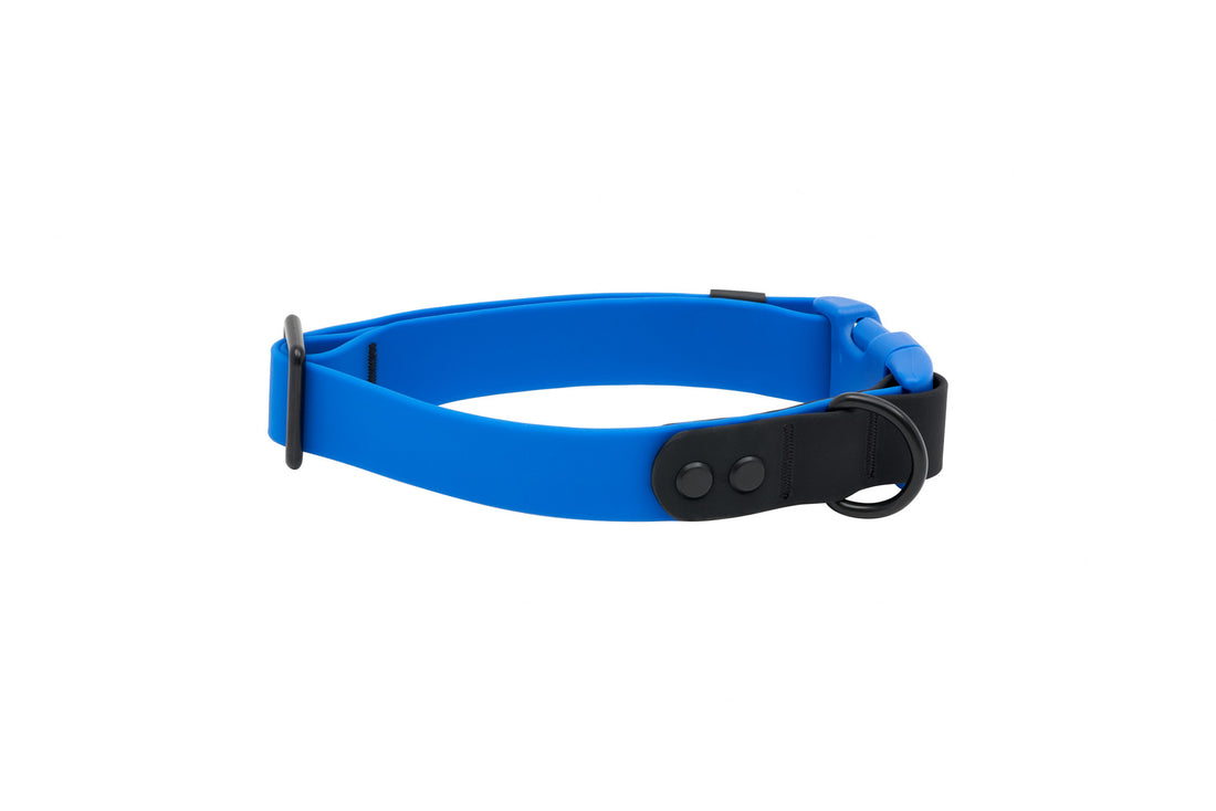 RC PETS WATERPROOF COLLAR MED SAPPHIRE BLACK