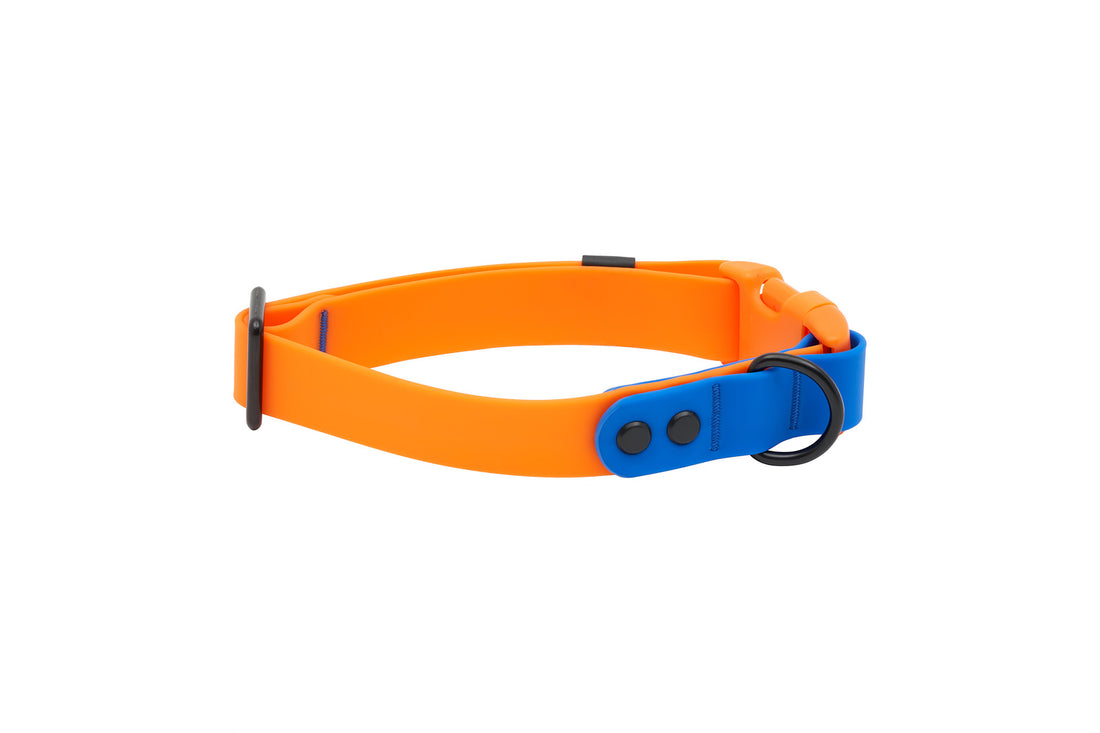 RC PETS WATERPROOF COLLAR LG ORANGE SAPPHIRE