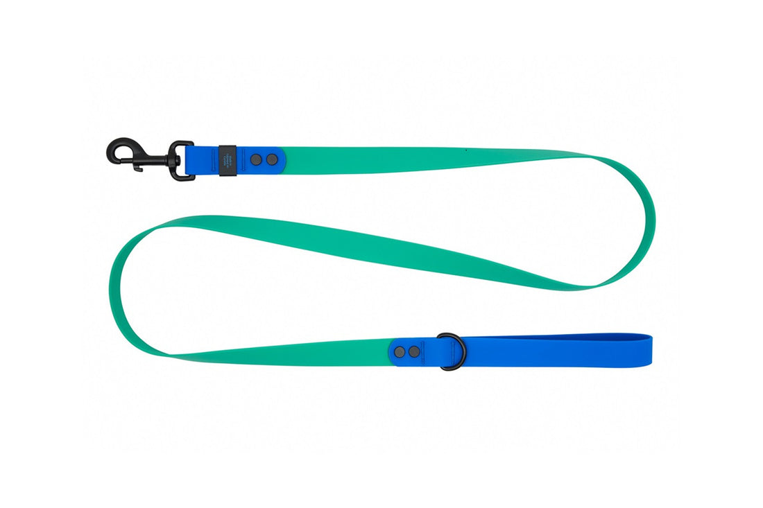 RC PETS WATERPROOF LEASH 1X5 PARAKEET SAPPHIRE