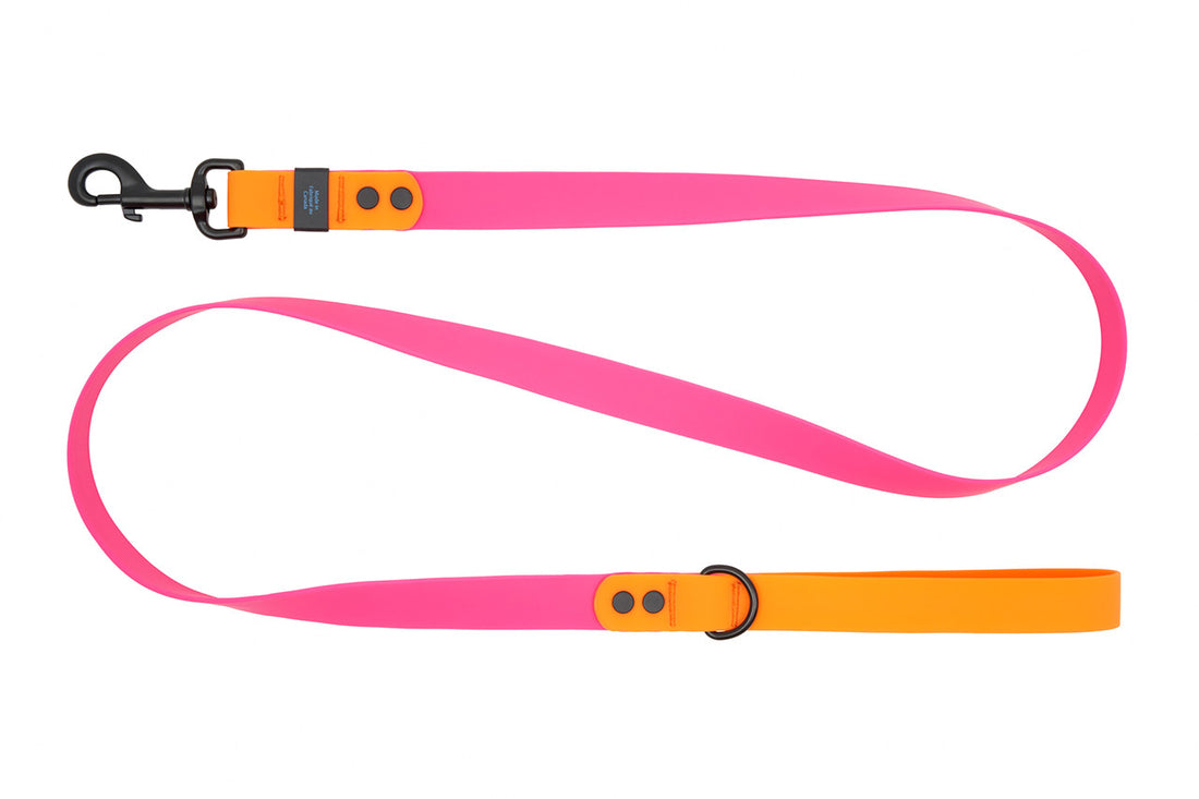 RC PETS WATERPROOF LEASH 1X5 AZALEA ORANGE