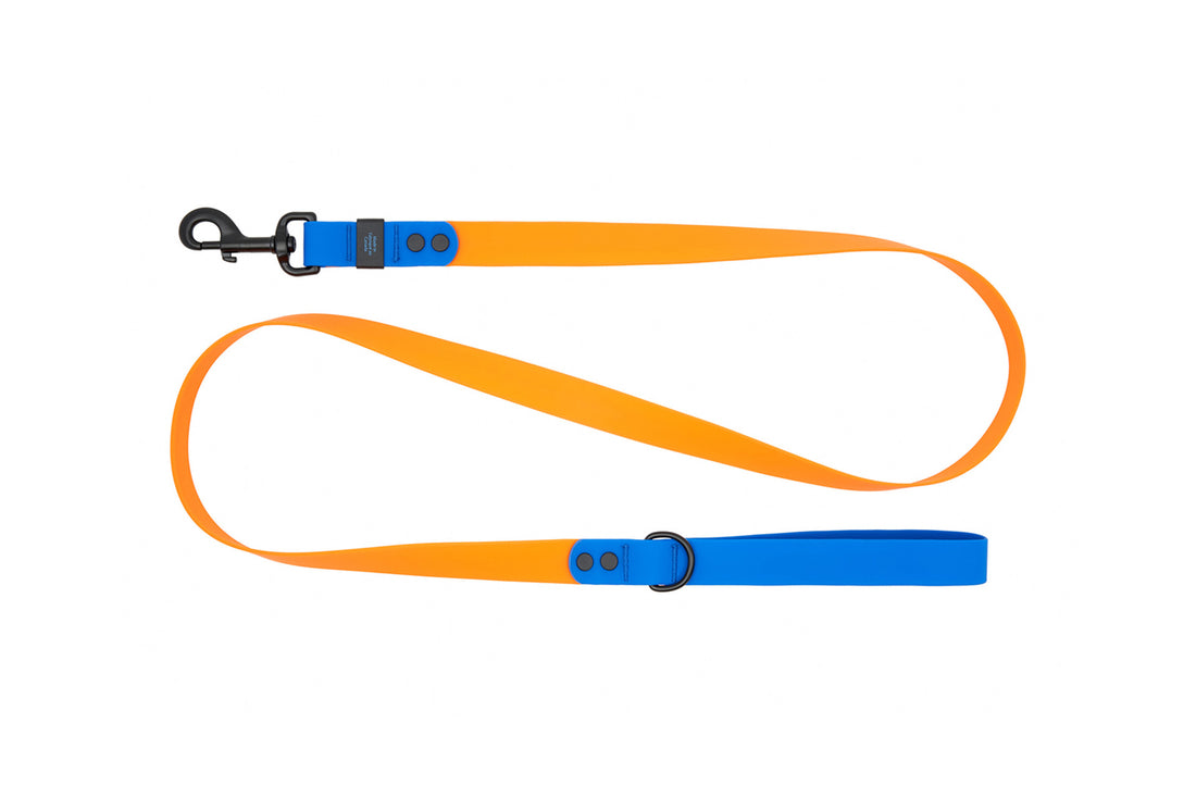 RC PETS WATER PROOF LEASH 1X5 ORANGE SAPPHIRE