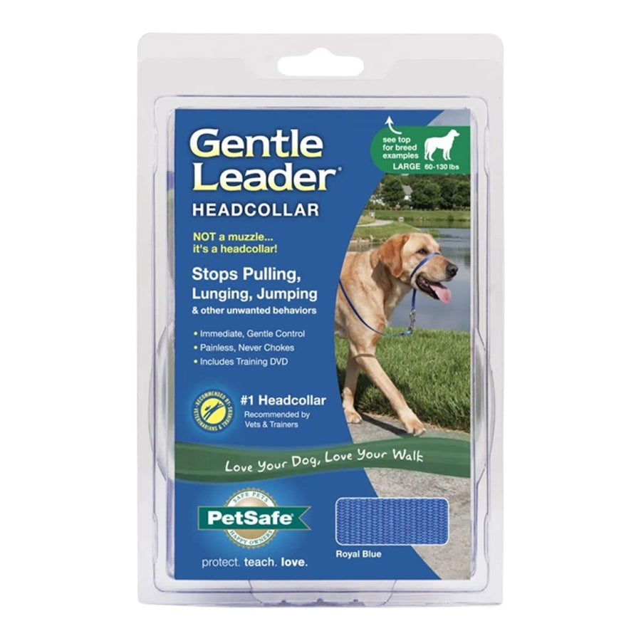 PetSafe Gentle Leader Royal Blue Large