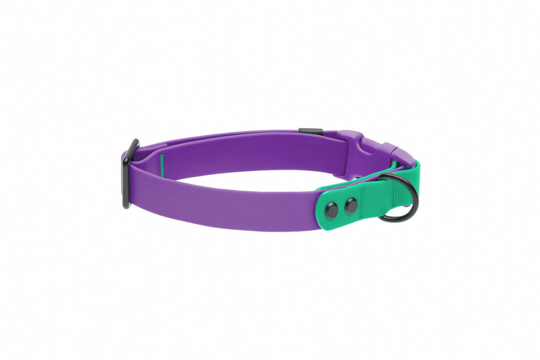 RC PETS WATERPROOF COLLAR MED PURPLE PARAKEET