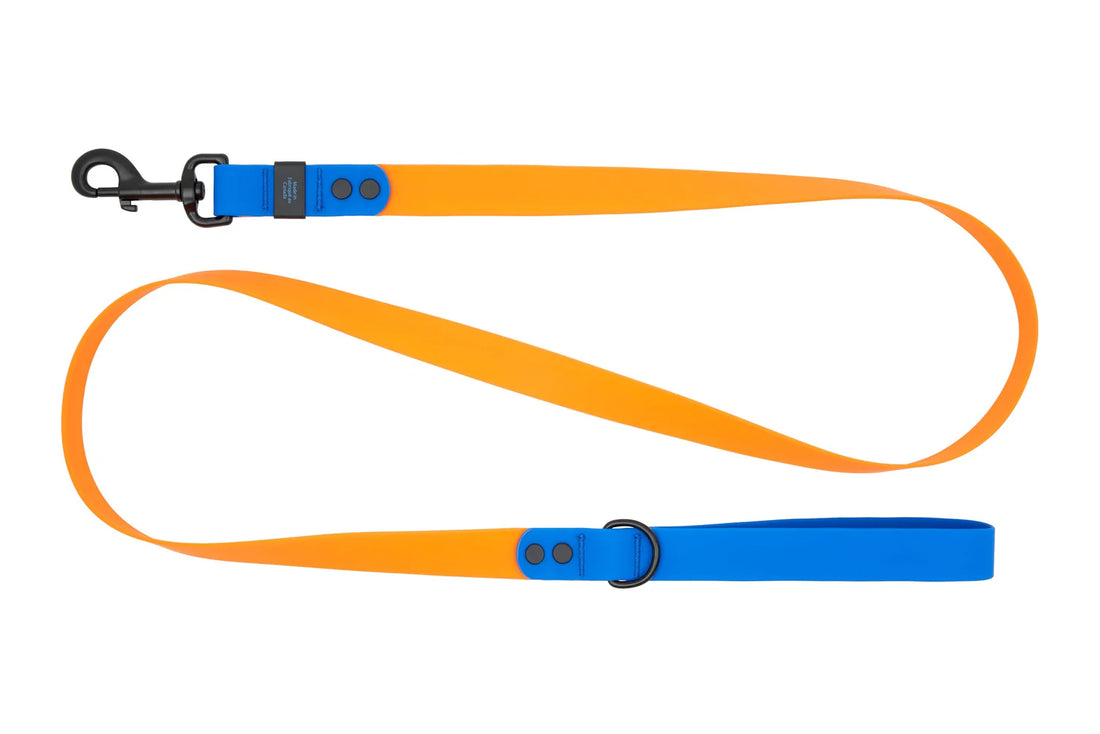 RC PETS WATERPROOF LEASH 3/4X5 ORANGE SAPPHIRE