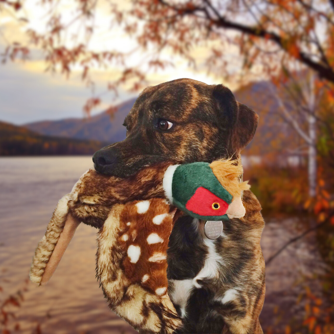 Fluff &amp; Tuff Ike Pheasant plush dog toy