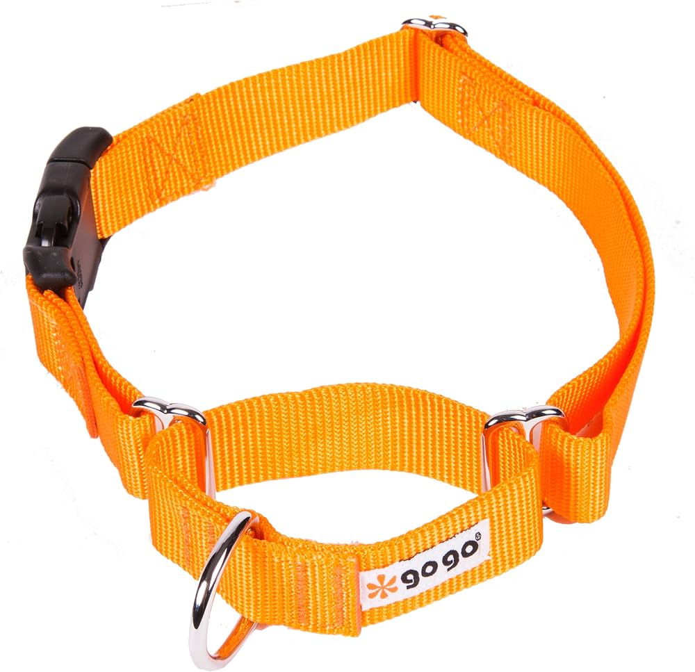 GoGo Martingale SM Org