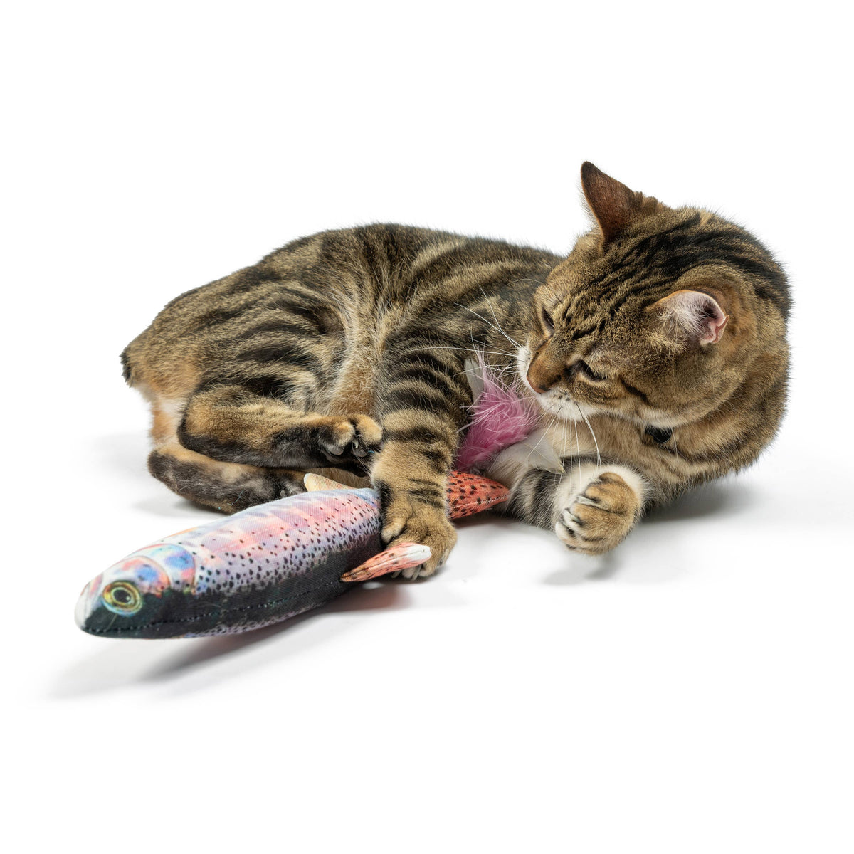 Huxley &amp; Kent Cat Kicker Rainbow Trout