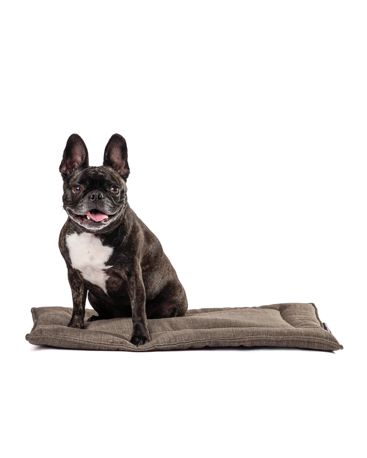 Roxbury Pet Melrose Mat Bronze Small