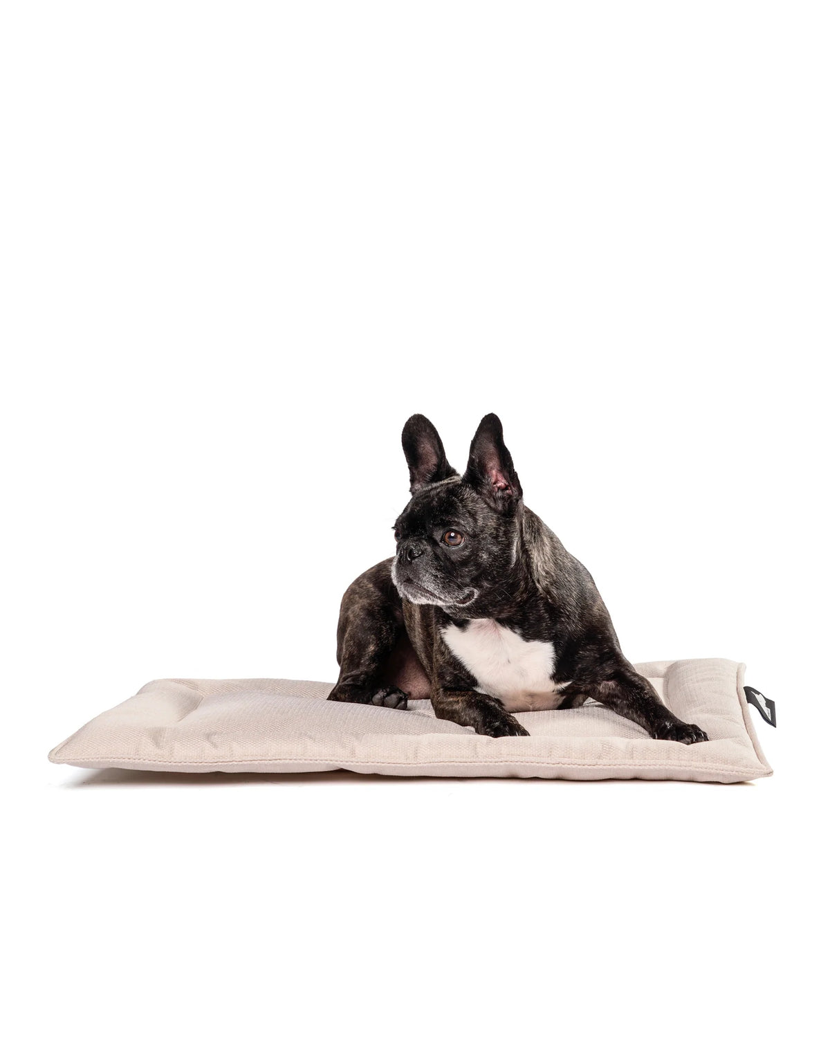 Roxbury Pet Melrose Mat Peony XL