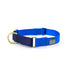 Major Darling martingale collar, cobalt and navy