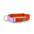 Major Darling martingale collar, orange and lilac
