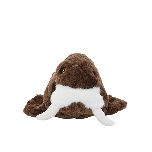 Mighty Arctic Walrus
