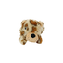 Mighty Safari Leopard
