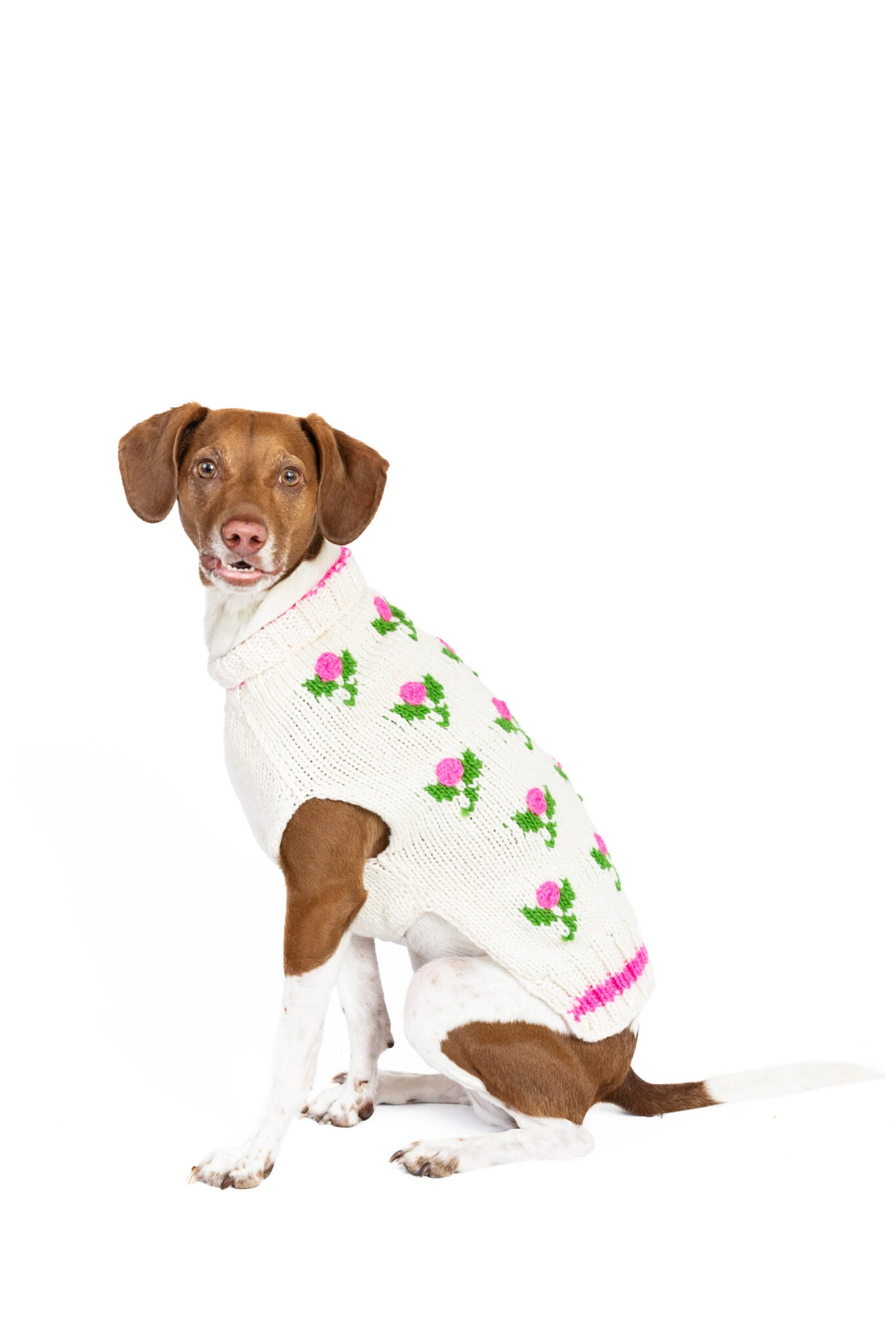 CHILLYDOG ROSEBUD MEDIUM