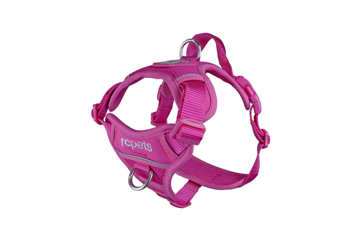 RC Pets Momentum Harness Fuschia SM
