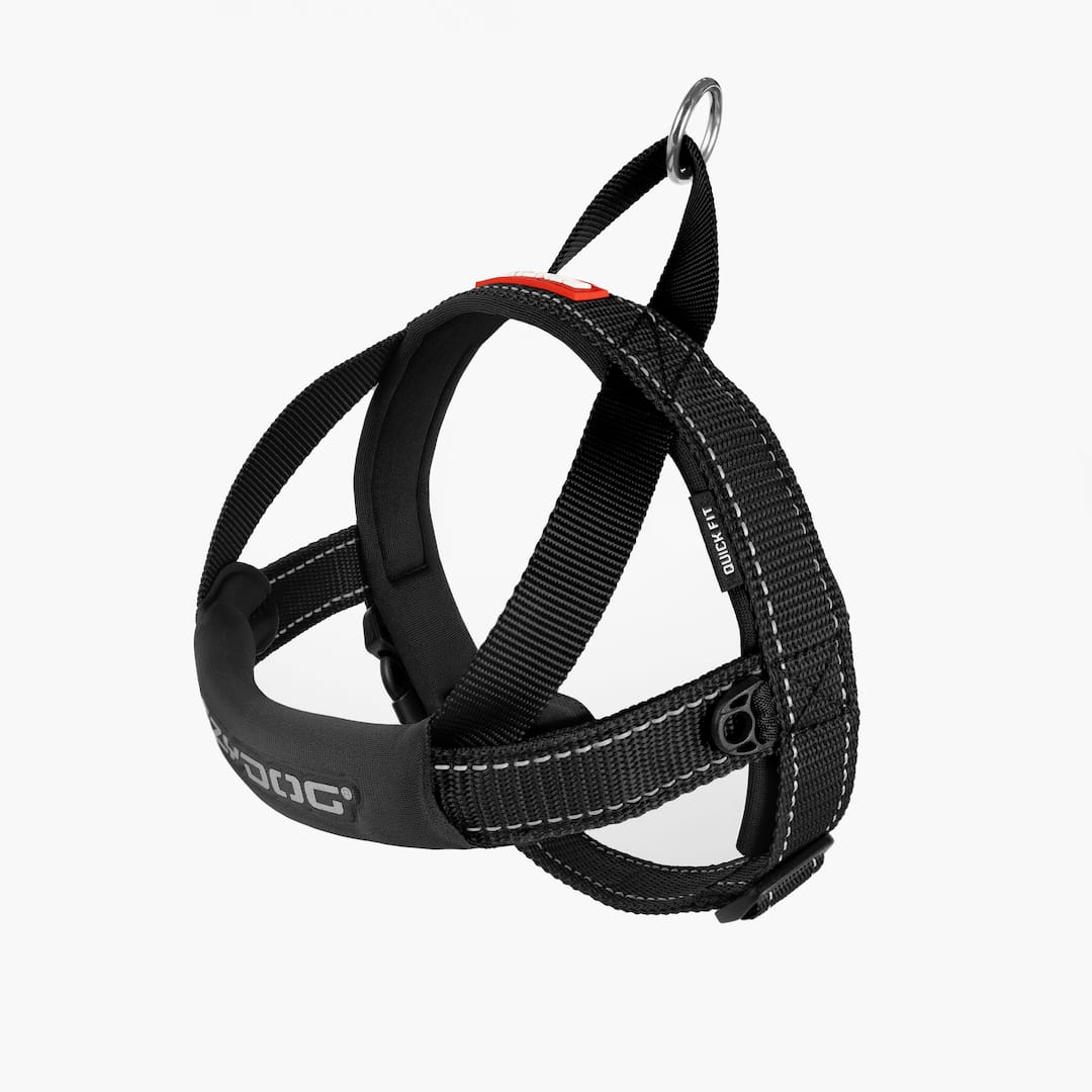 EzyDog Quick Fit Harness Black
