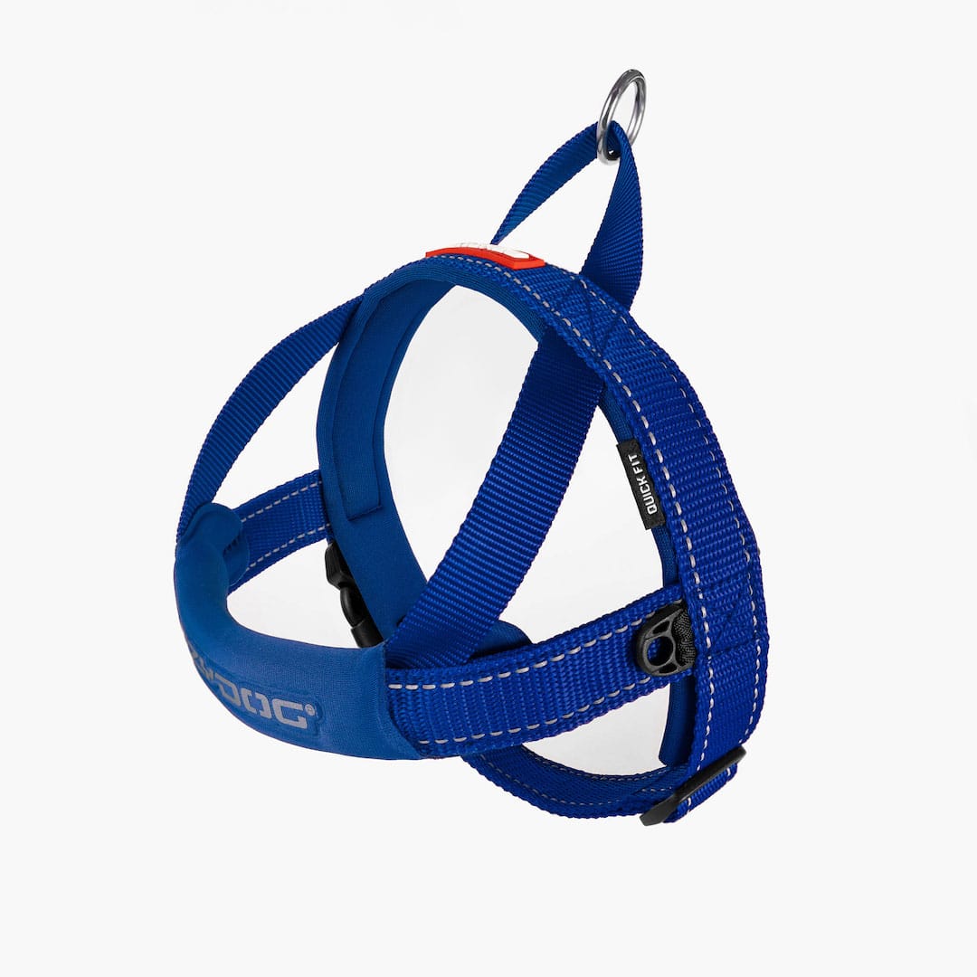 EzyDog Quick Fit Harness Blue