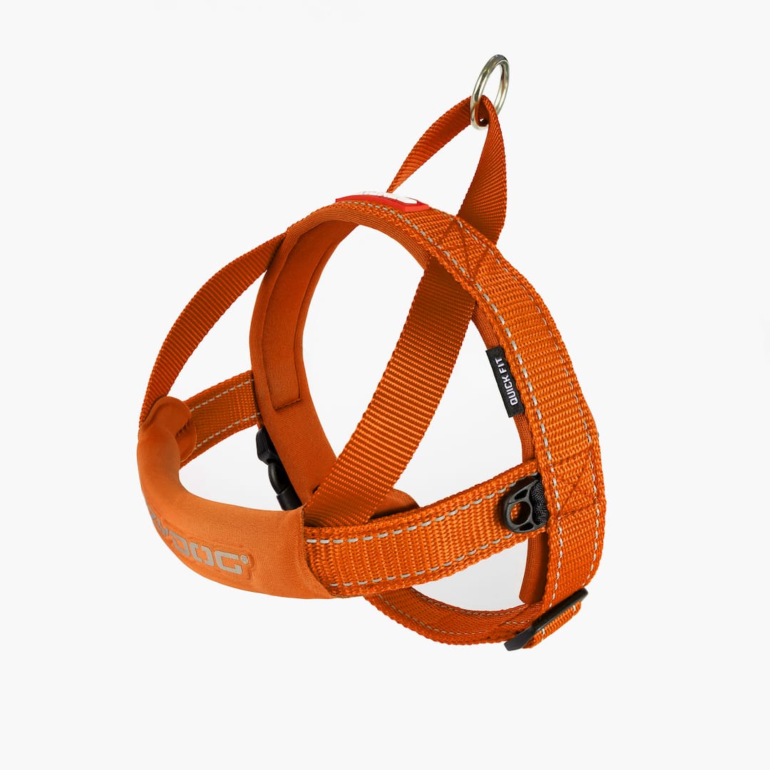 EzyDog Quick Fit Harness Orange