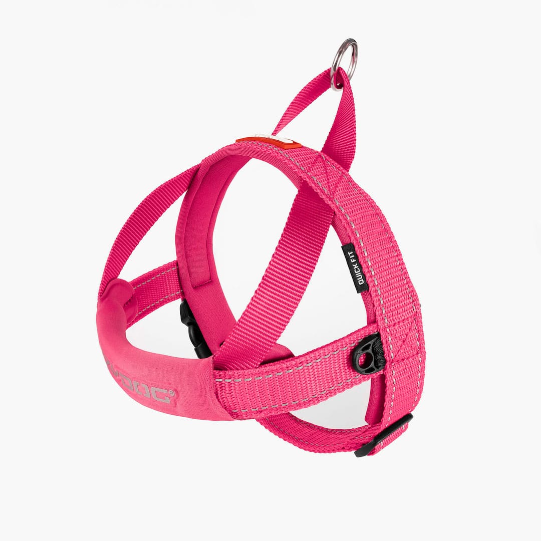 EzyDog Quick Fit Harness Pink
