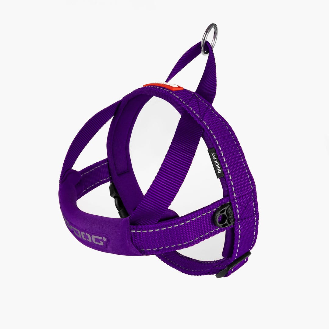 EzyDog Quick Fit Harness Purple