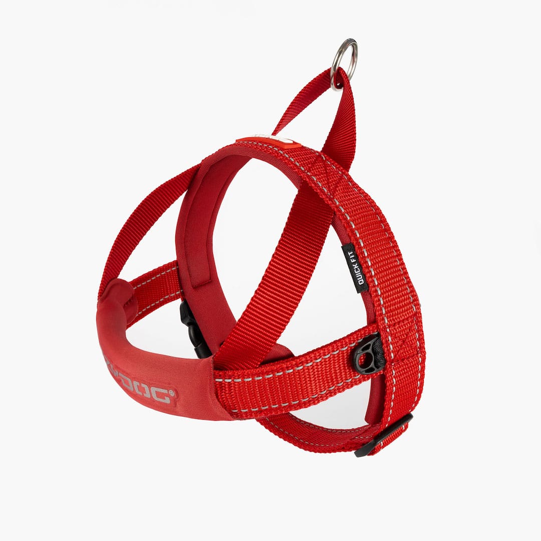 EzyDog Quick Fit Harness Red