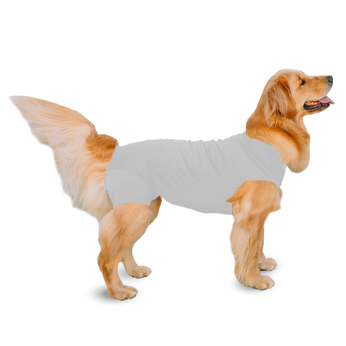 Shed Defender Recovery Grey Large