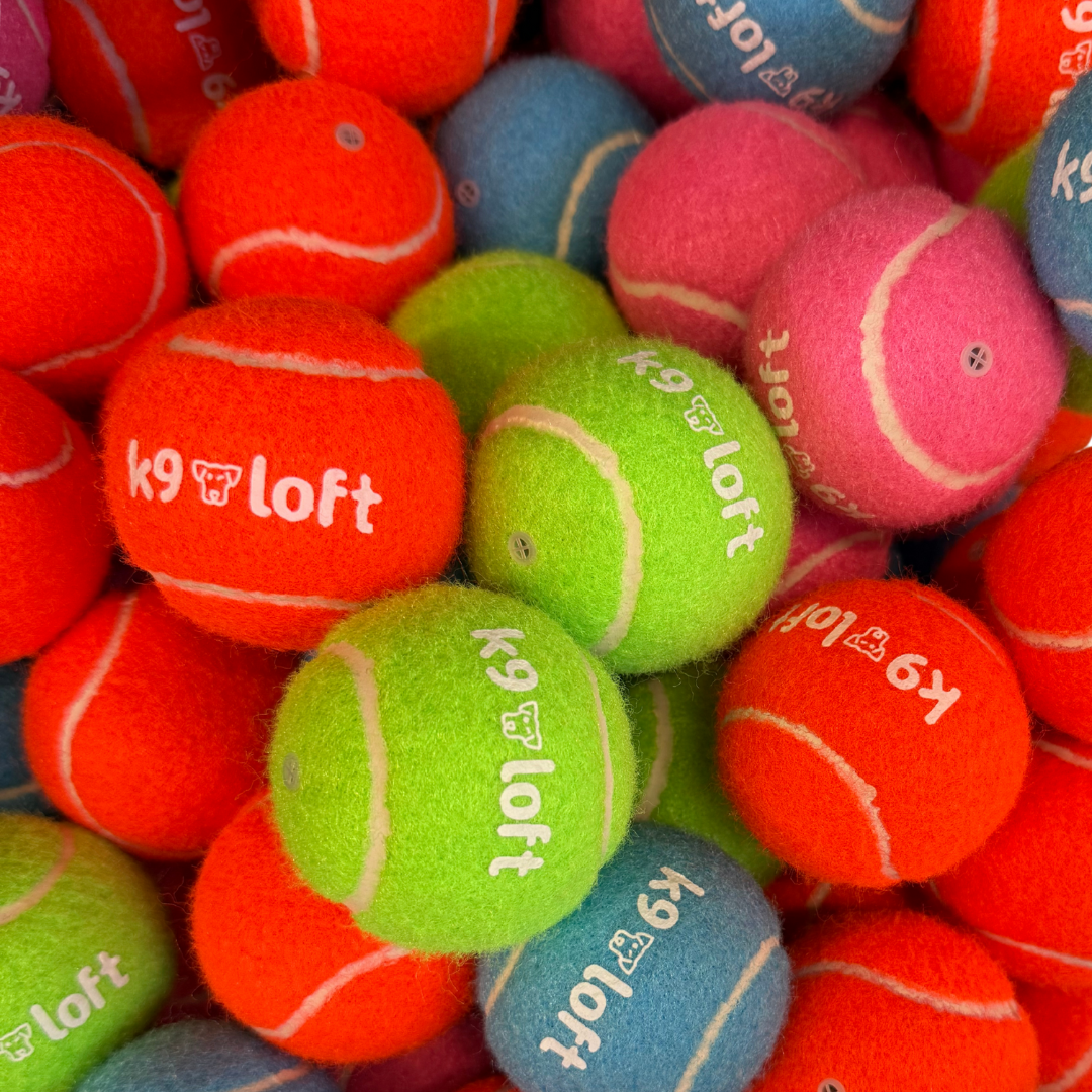 K9 Loft Tennis Ball Assorted Colors