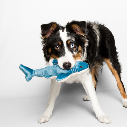 Fluff &amp; Tuff Tank Shark plush dog toy