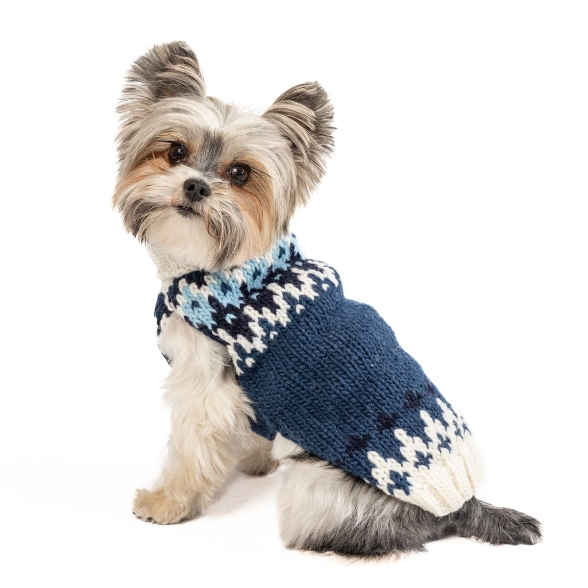 Chilly Dog Midnight Ski Bum Sweater