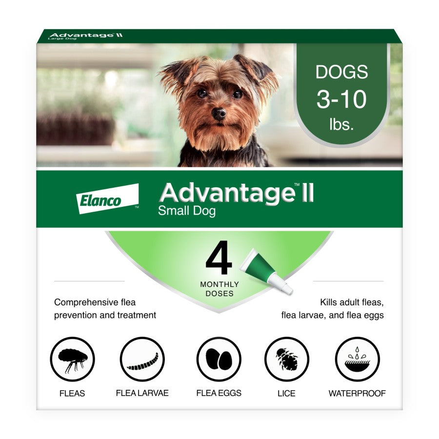 Advantage II 4-Month Treatment 1-10 lb Dogs