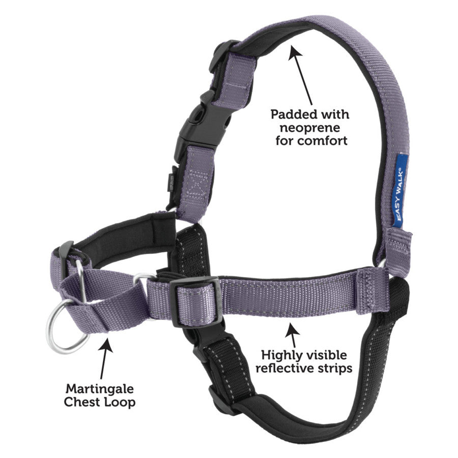 PetSafe Deluxe Easy Walk SM Steel