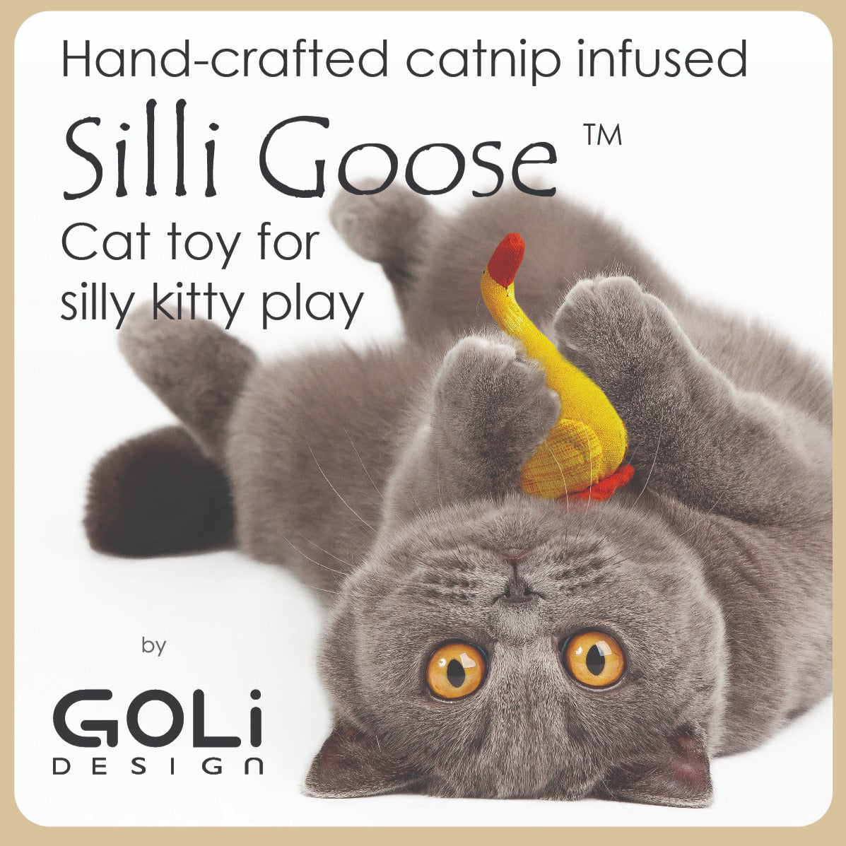 Goli Silli Goose