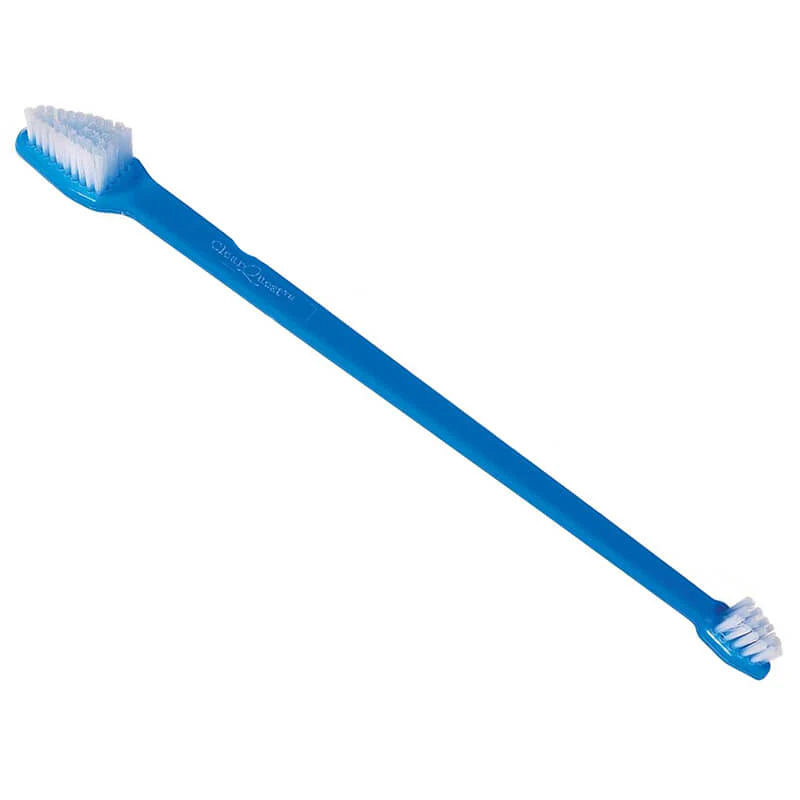 Clear Quest Dual End Toothbrush Single