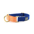 Major Darling Martingale Cobalt/Peach Medium