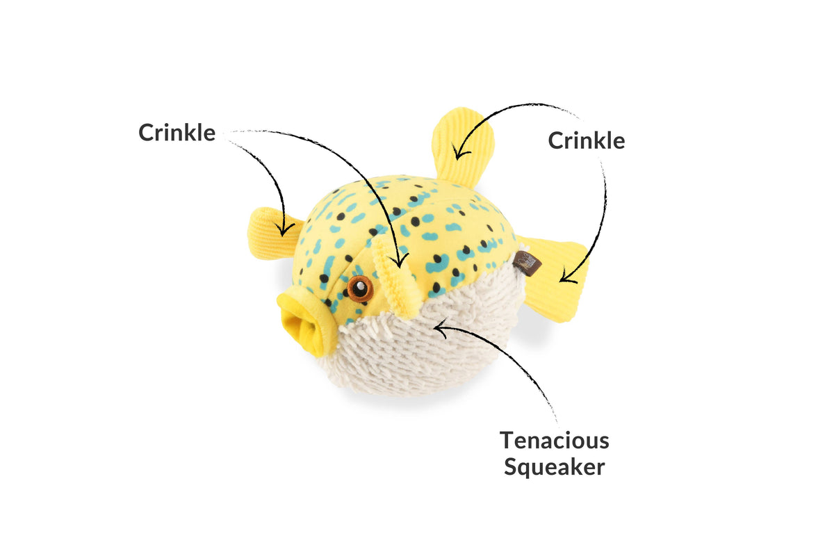 PLAY Puffer Fish