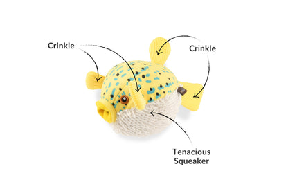 PLAY Puffer Fish