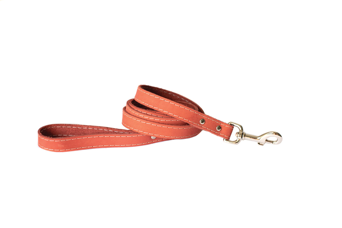 Eurodog Traditional Soft Leather Lead 5/8x6 Coral