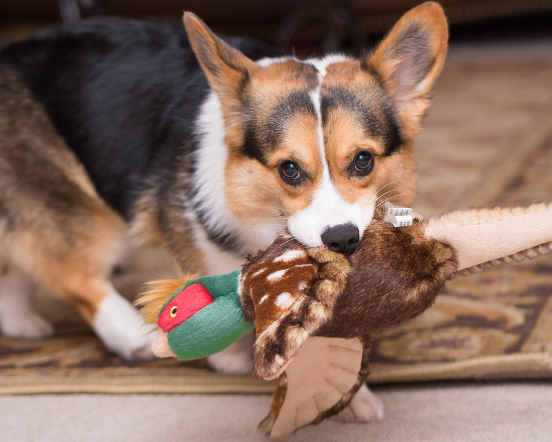 Fluff &amp; Tuff Ike Pheasant plush dog toy