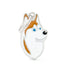 MyFamily friends white and brown siberian husky ID tag