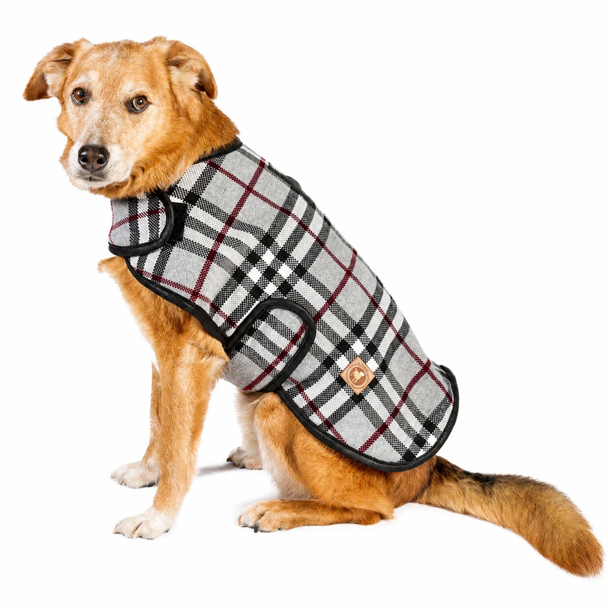 CHILLY DOG TARTAN PLAID COAT STEEL MEDIUM