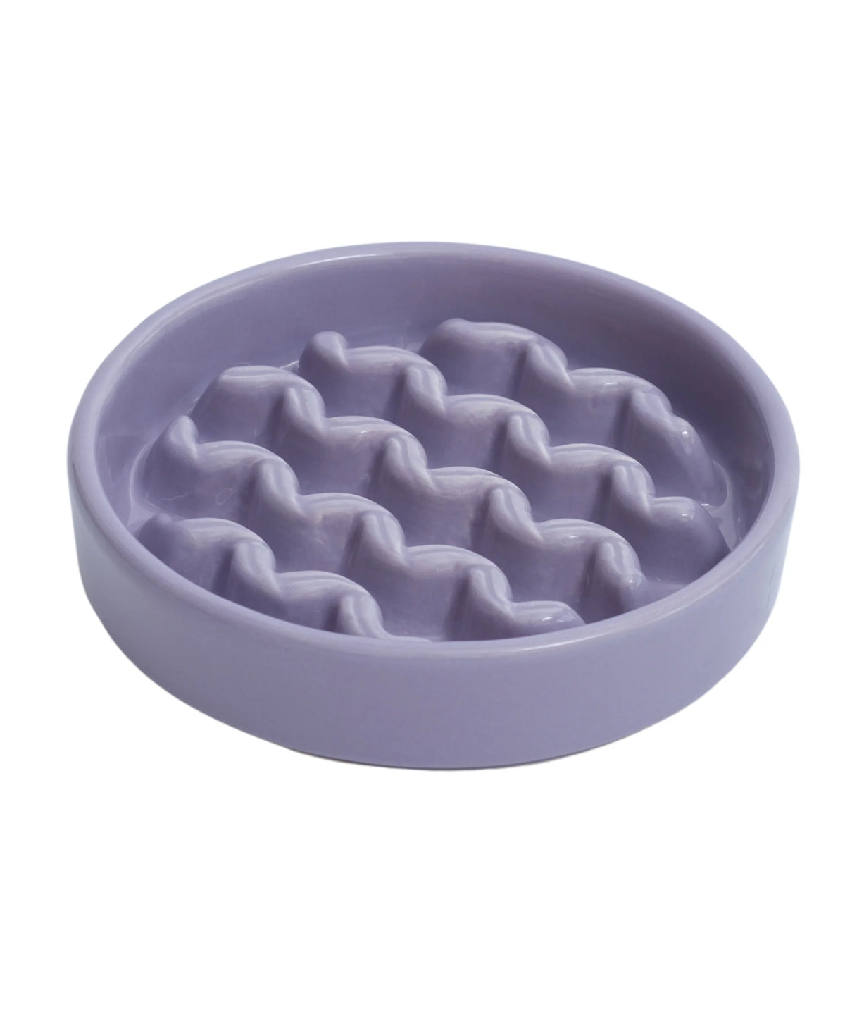 PEHOM MACARONI SLOW FEEDER PURPLE MEDIUM
