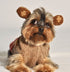 Chilly Dog Monkey Hoodie